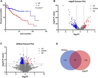 Recurrence Risk of Liver Cancer Post-hepatectomy Using Machine Learning and Study of Correlation With Immune Infiltration